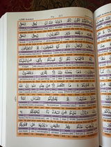 Rayyan Mahmood review photo