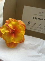 Elizabeth Taua’a review photo
