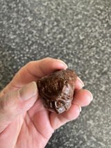 Ali review photo