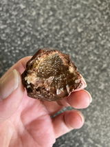 Ali review photo