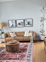 Beautiful rug lifted the room