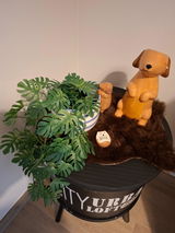Cynthia De Groen review photo