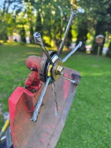 Giacomo Ricci review photo