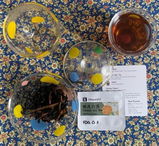 Samantha G. review photo