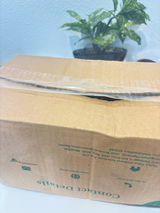 Ashish Patel . review photo