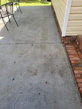 Shelton review photo