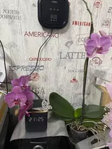 ѧ review photo