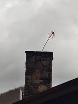 A. Wade Pennell review photo