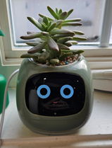 Michael Johnson review photo