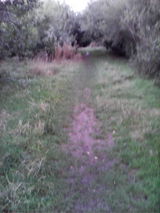 Leslie Potter review photo