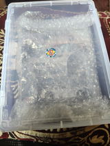 Monti review photo