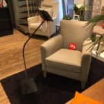 Furniture store review photo