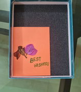 Sarah Anna Shaji review photo