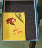 Sarah Anna Shaji review photo