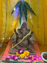 Honey Gondaliya review photo