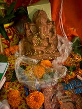 Monalisa Patnaik review photo