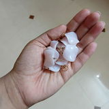 Sarah Anna Shaji review photo