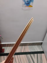 Mallicka Ghorui review photo