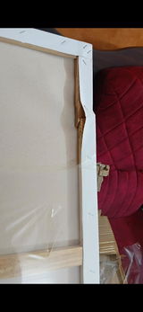 Sarah Anna Shaji review photo