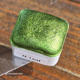 Lauren review photo