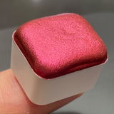 Mollie review photo