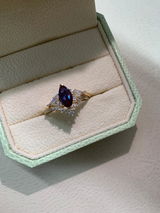 Delphine review photo