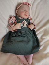 Gracie review photo
