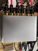 Y.S.B. review photo