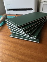 Terry Collins review photo