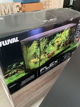 Anne review photo