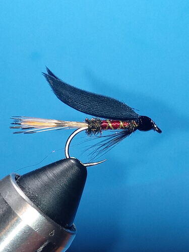 Terryll M. review photo
