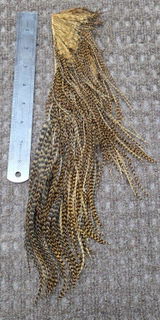 Ben H. review photo