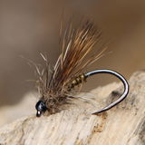 Fred B. review photo