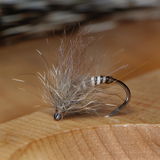 Fred B. review photo