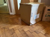 DLO review photo