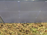 Savannah C. review photo