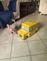 Dale F. review photo