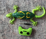 Darwin W. review photo