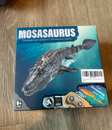 Lachlan J. review photo