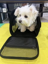 miyathecloud review photo