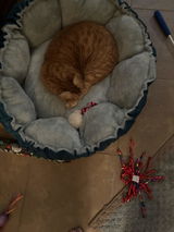 My cats LOVE the clamshell bed! Pretty too! review photo