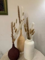 Passent Medhat Elnaem review photo