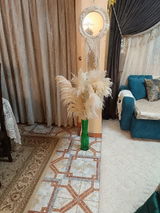 Salma Saad review photo