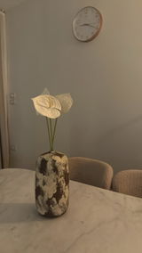 Fatma Alashry review photo