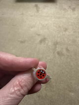 Ladybugb review photo