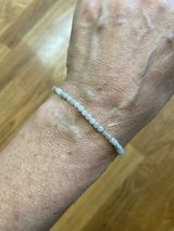 Jade LMS review photo