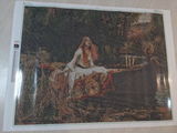 Hossy review photo