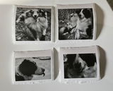 DEB review photo