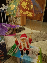 Lidija Tasic review photo
