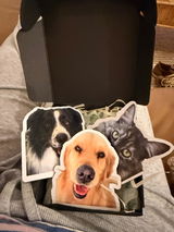 Custom Shape Photo Magnets